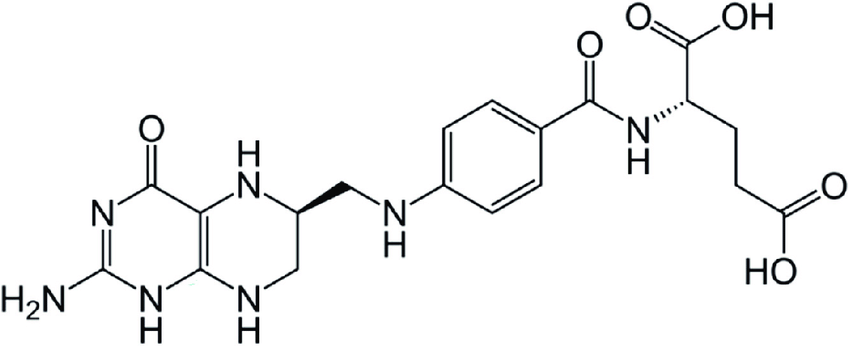 5-mthf