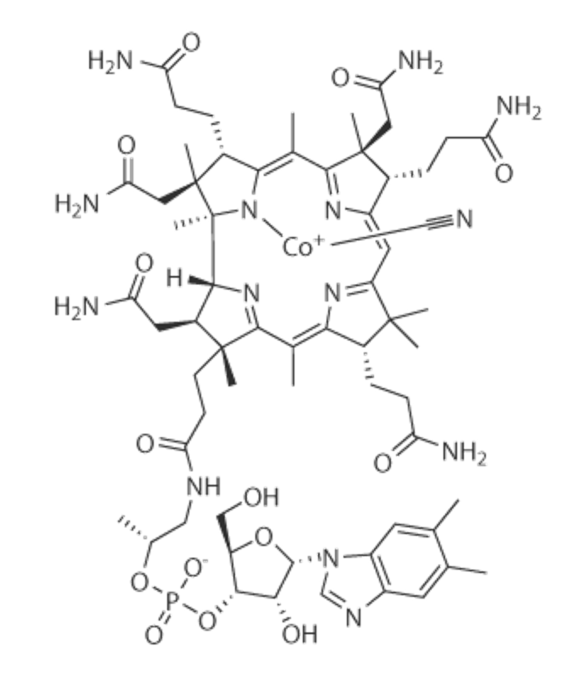 b12