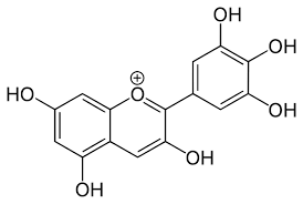 delphinidin