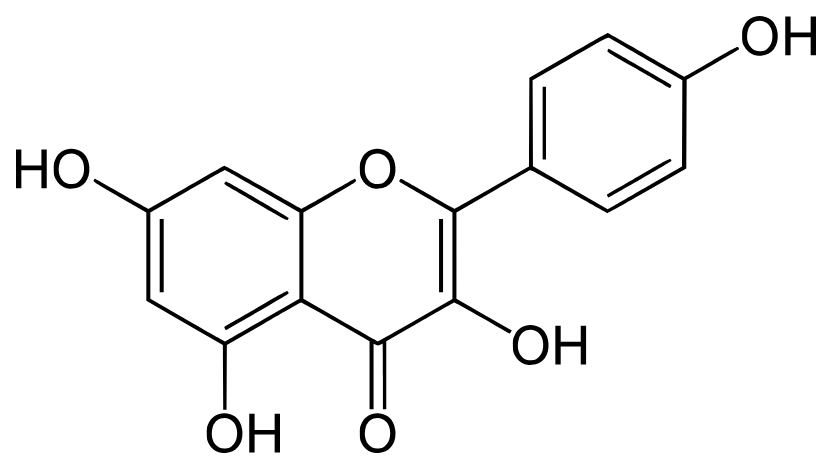 kaempferol