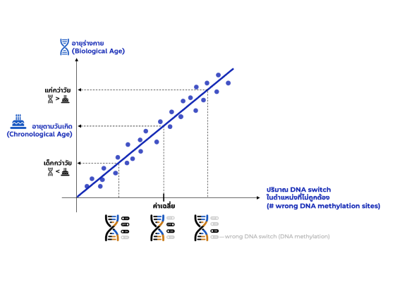 BIO age and DNA switch chart